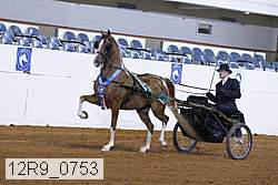 12r9_0753 proof