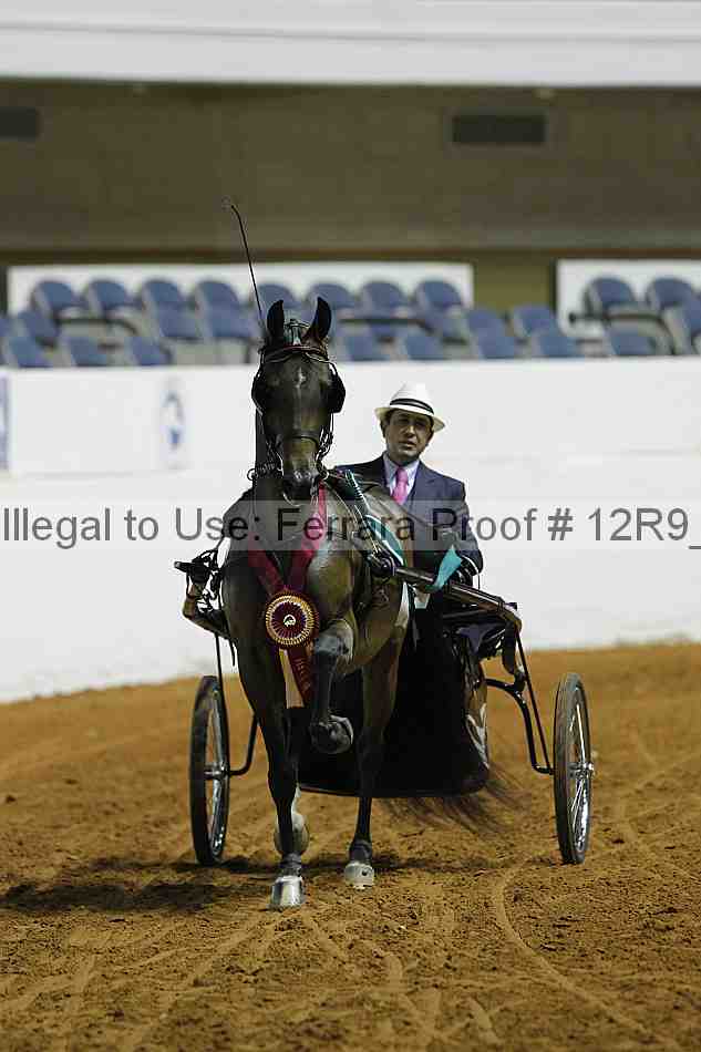 Proof 12r9_0756