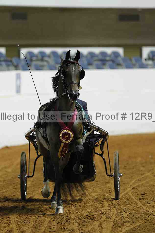 Proof 12r9_0757