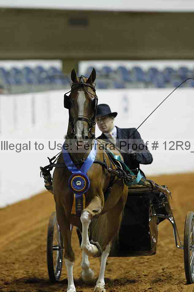Proof 12r9_0760