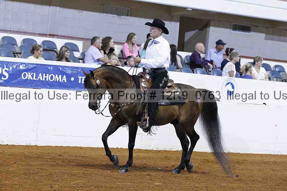 Proof 12r9_0763