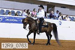 12r9_0763 proof