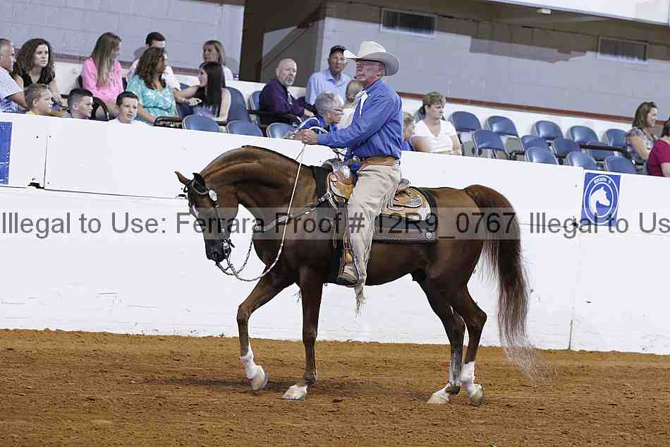 Proof 12r9_0767