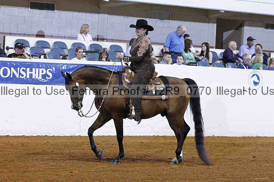 Proof 12r9_0770