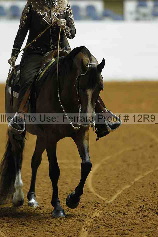 Proof 12r9_0771