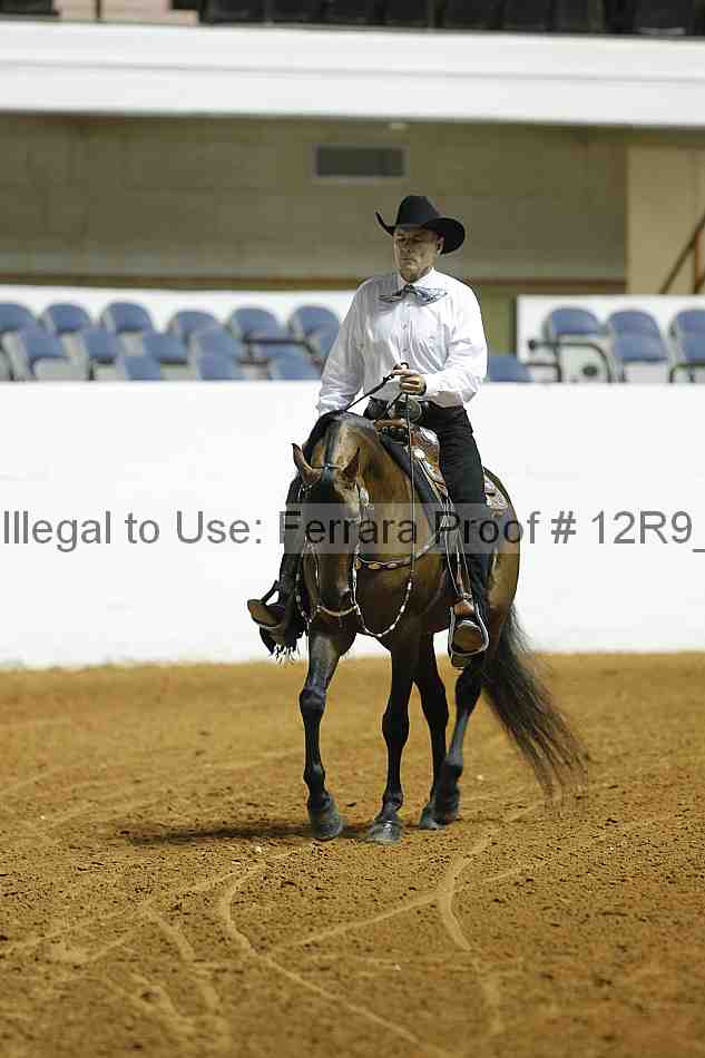 Proof 12r9_0774