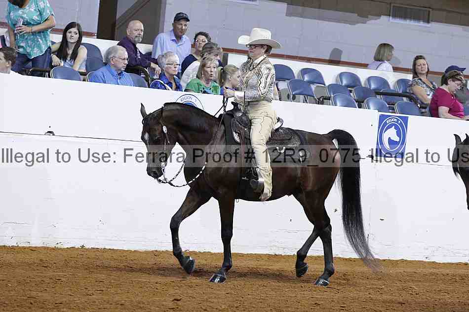 Proof 12r9_0775