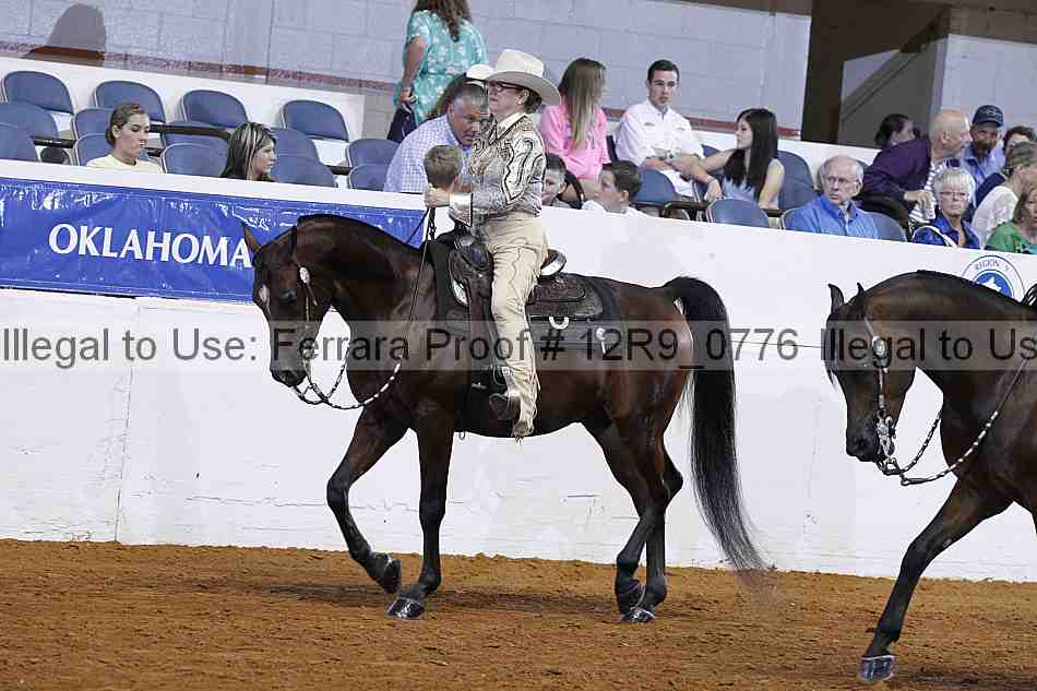 Proof 12r9_0776