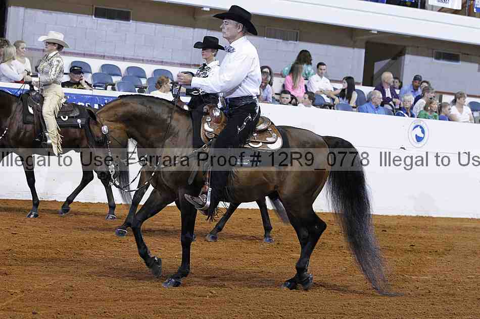 Proof 12r9_0778