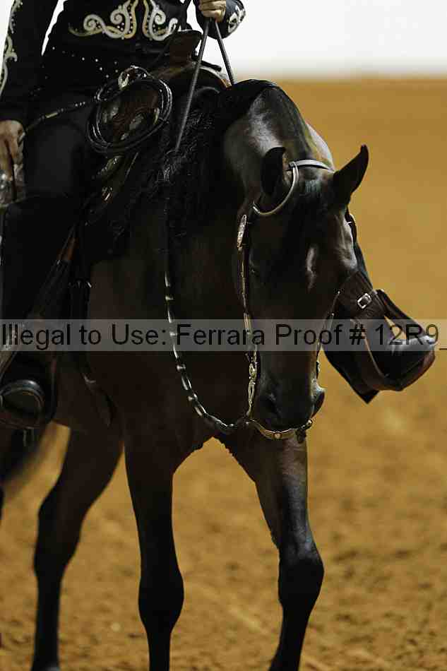 Proof 12r9_0779