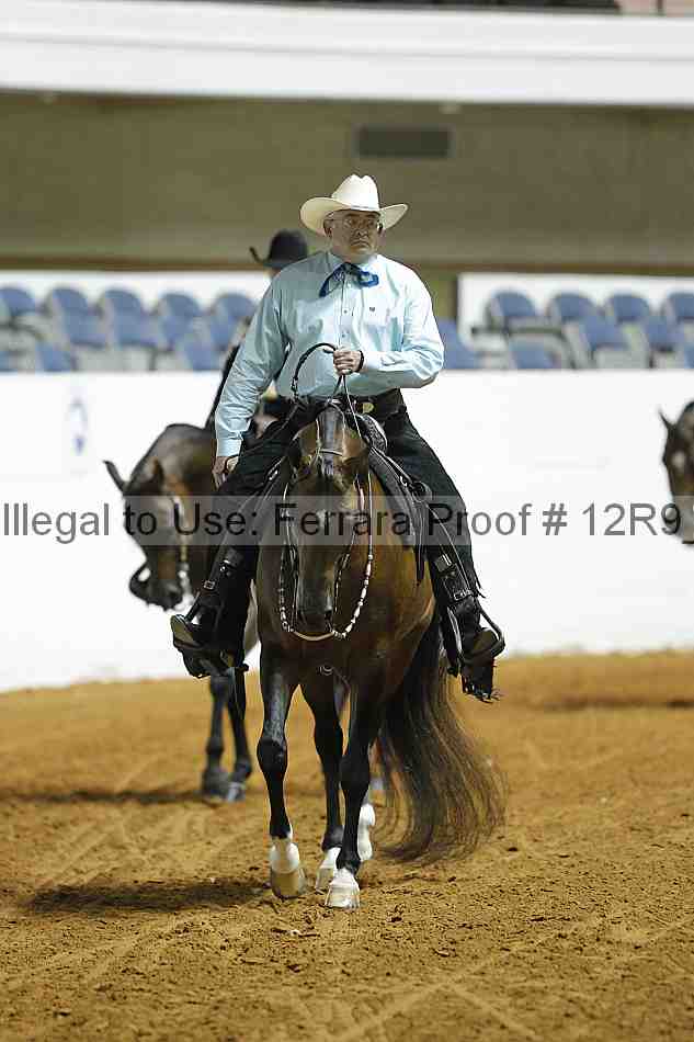 Proof 12r9_0785