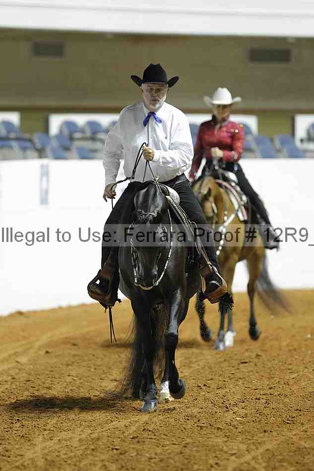 Proof 12r9_0786