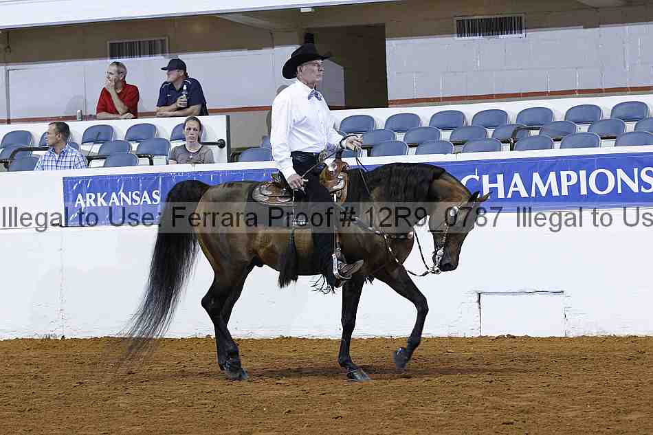 Proof 12r9_0787