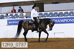 12r9_0787 proof