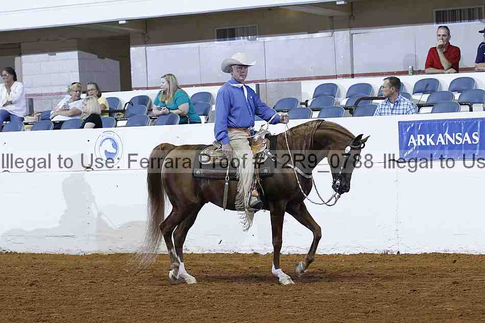 Proof 12r9_0788