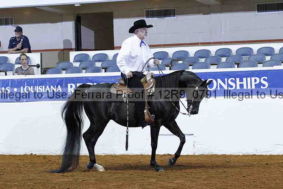 Proof 12r9_0791