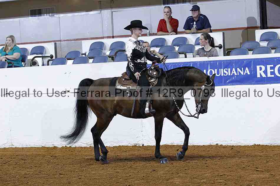 Proof 12r9_0793