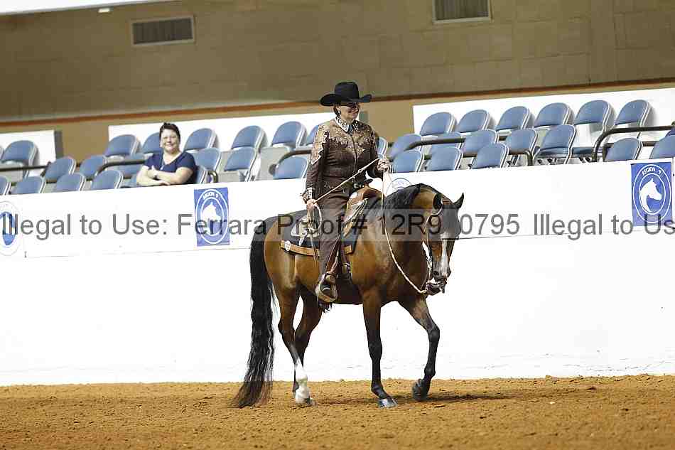 Proof 12r9_0795