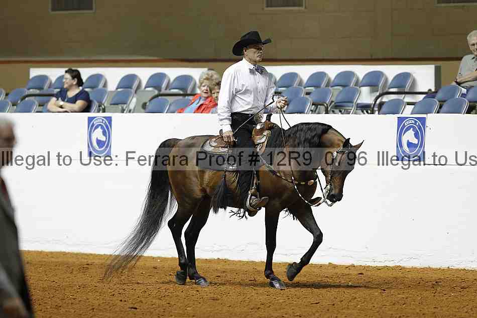 Proof 12r9_0796