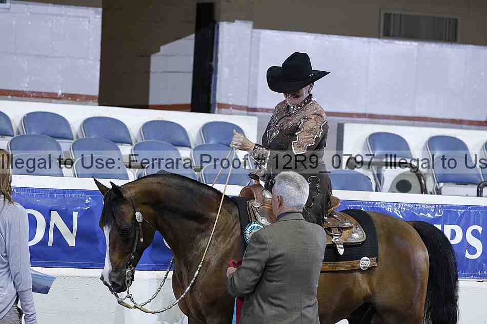 Proof 12r9_0797