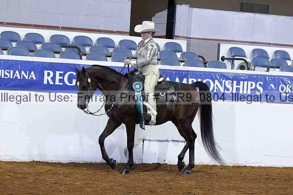 Proof 12r9_0804