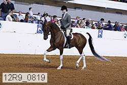 12r9_0819 proof