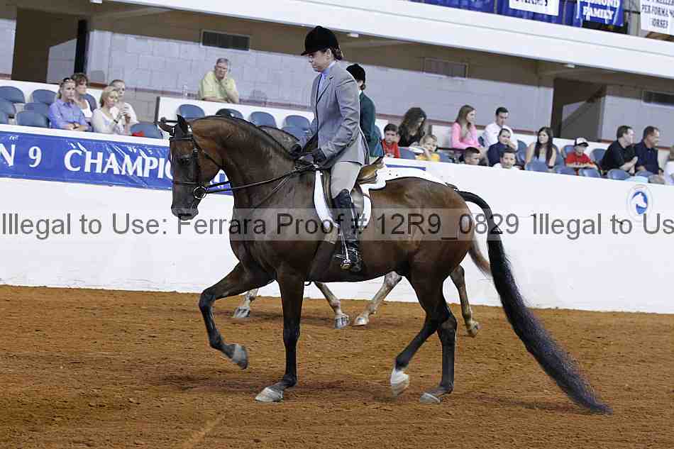 Proof 12r9_0829
