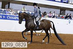 12r9_0829 proof