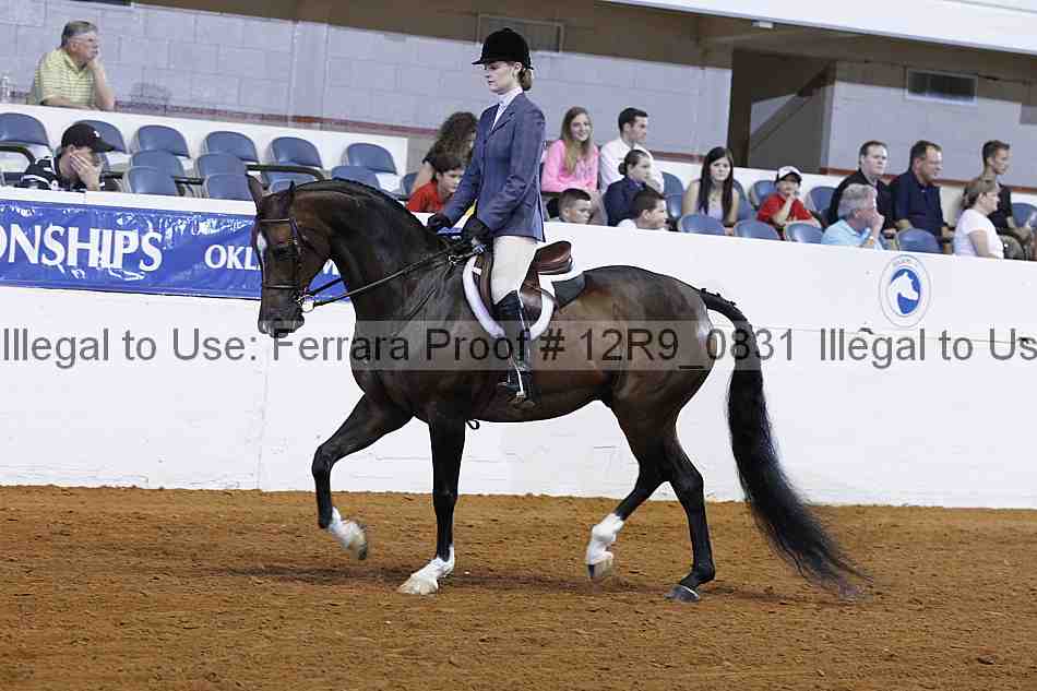 Proof 12r9_0831