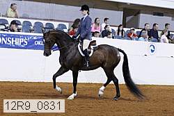 12r9_0831 proof