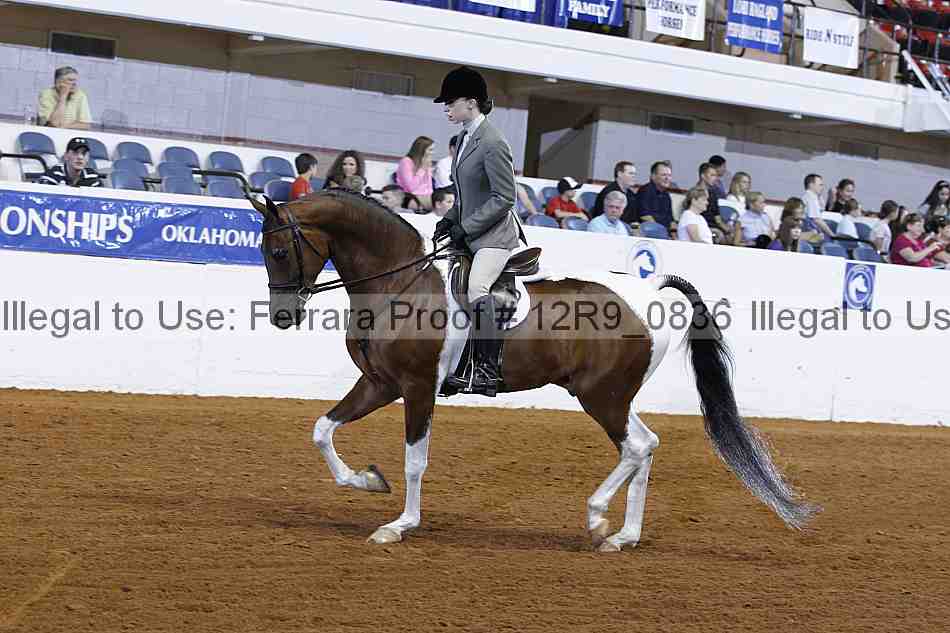 Proof 12r9_0836