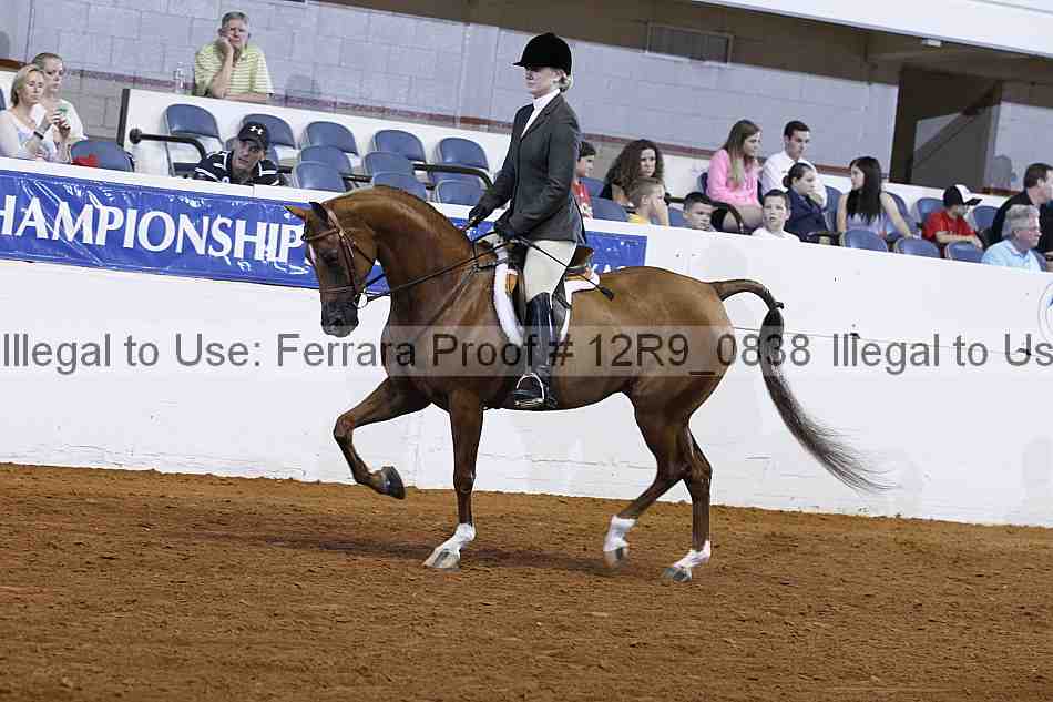 Proof 12r9_0838