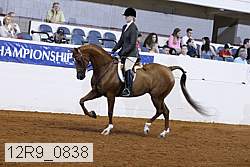 12r9_0838 proof