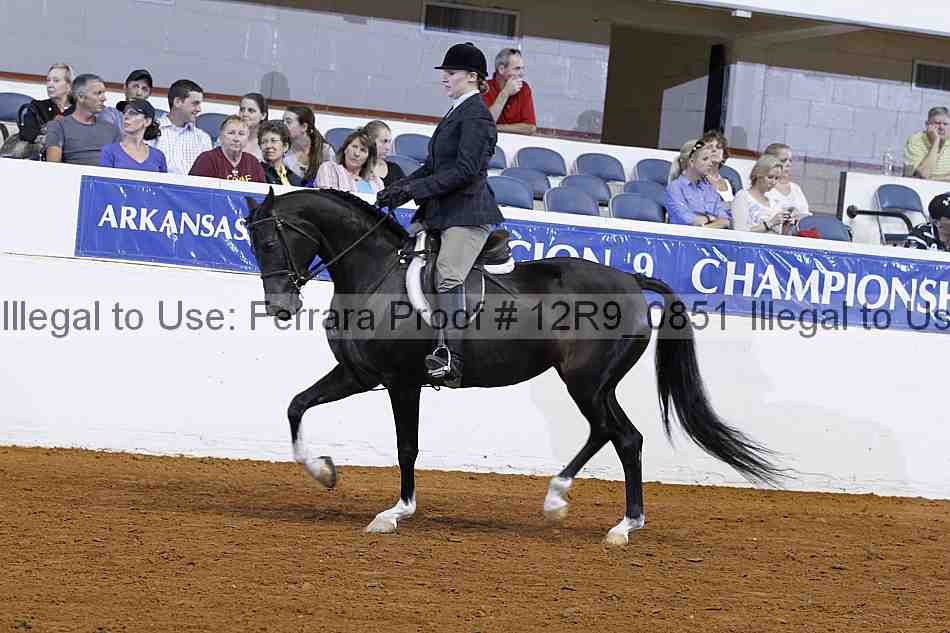 Proof 12r9_0851