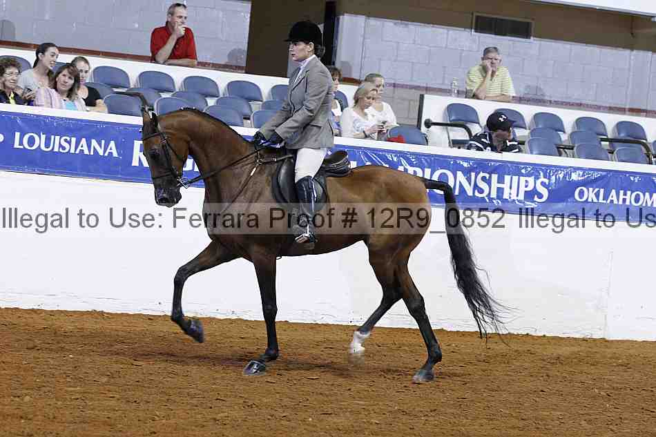 Proof 12r9_0852