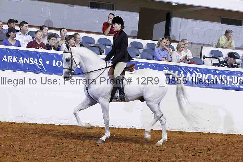 Proof 12r9_0855