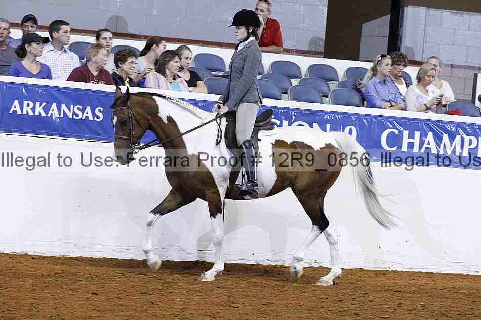 Proof 12r9_0856