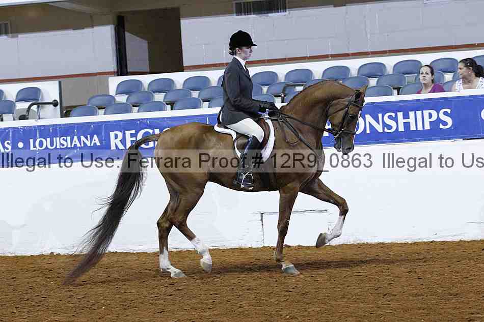 Proof 12r9_0863