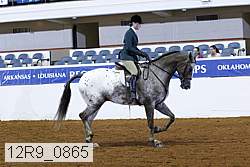 12r9_0865 proof