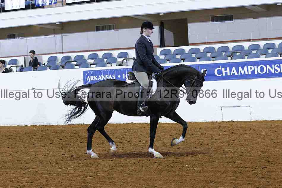 Proof 12r9_0866