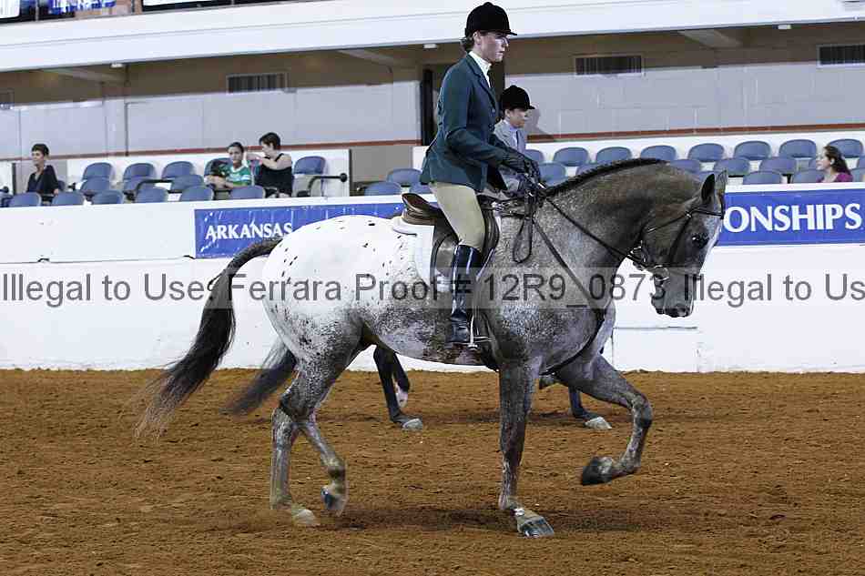 Proof 12r9_0873