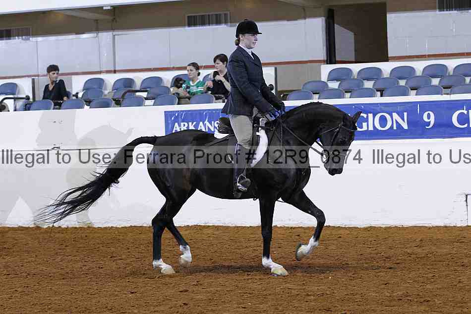 Proof 12r9_0874
