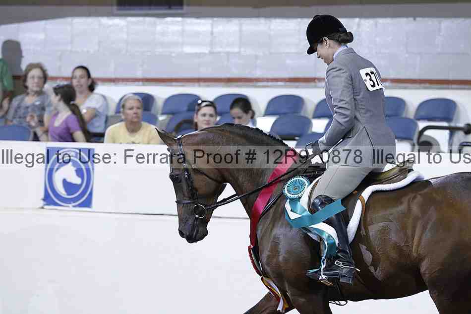 Proof 12r9_0878