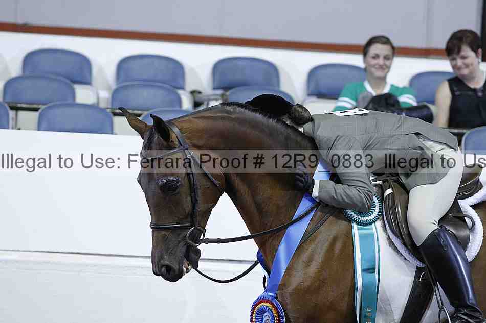 Proof 12r9_0883