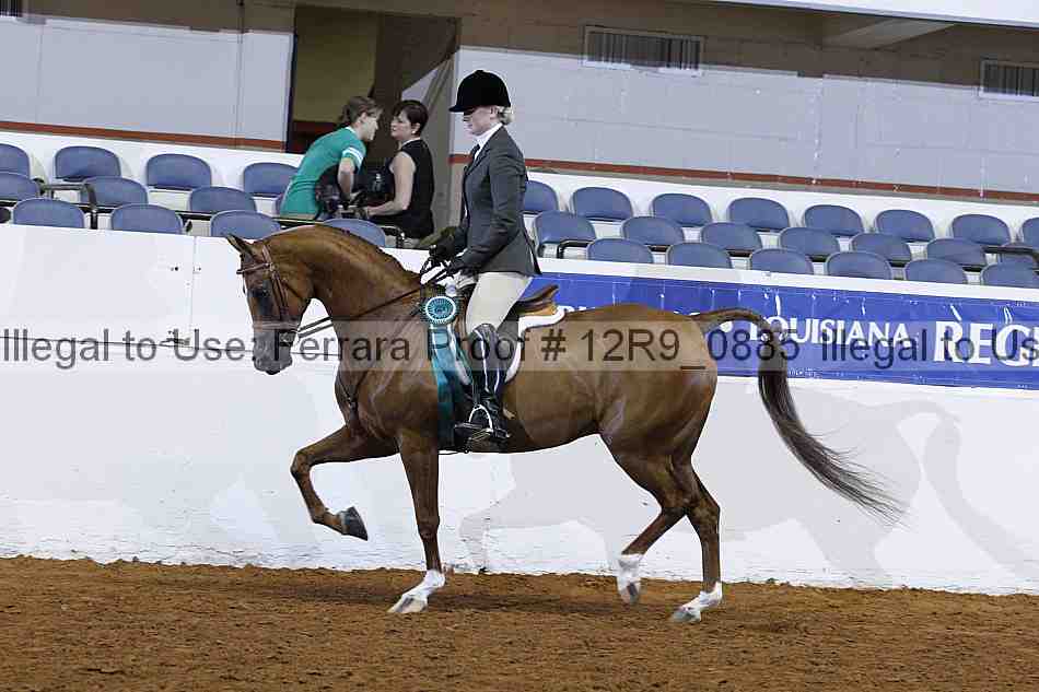 Proof 12r9_0885