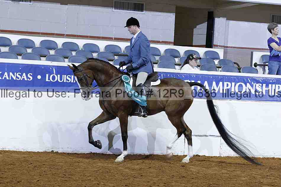 Proof 12r9_0886
