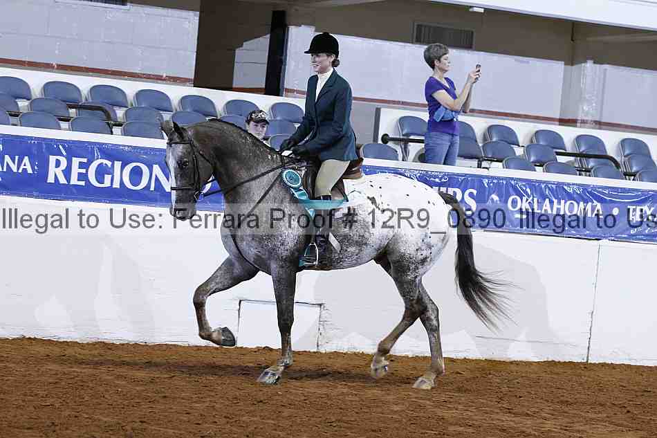 Proof 12r9_0890
