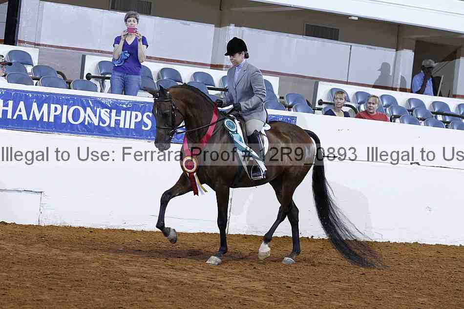 Proof 12r9_0893