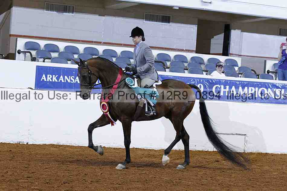 Proof 12r9_0894