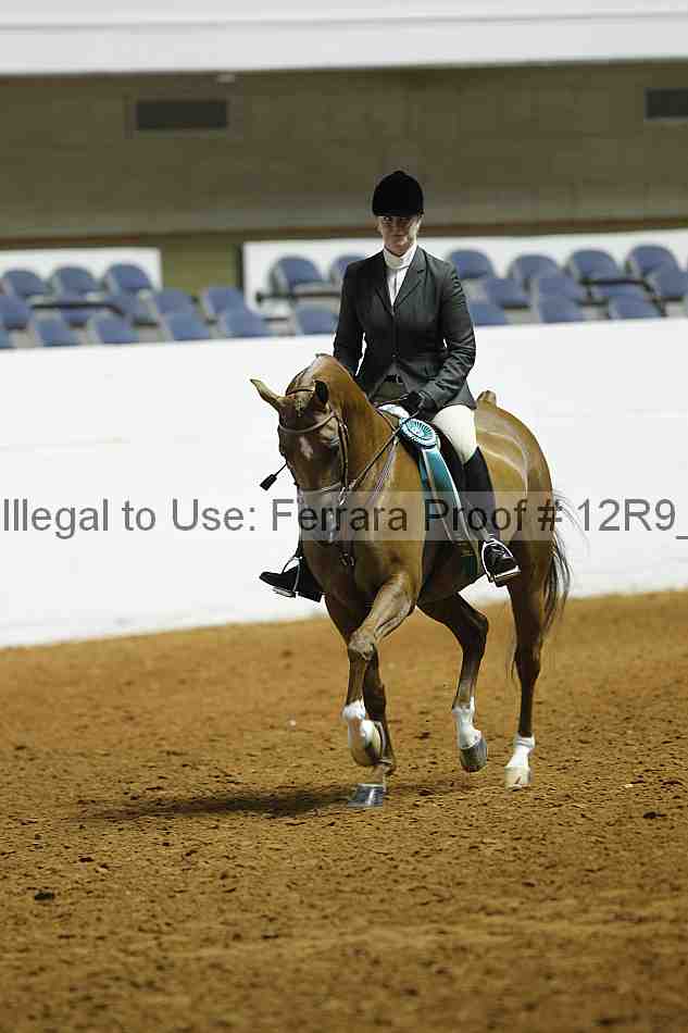Proof 12r9_0895
